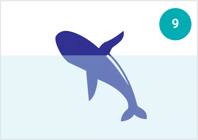 Breach