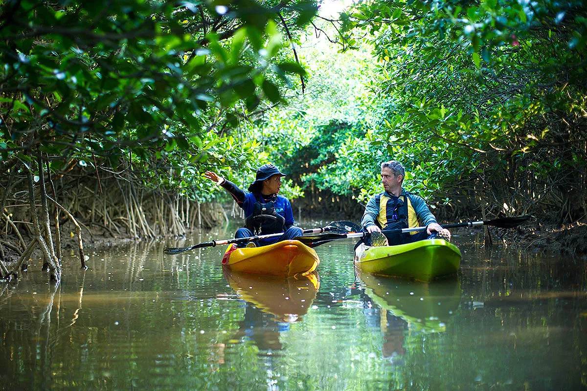yanbaru guided kayak tour