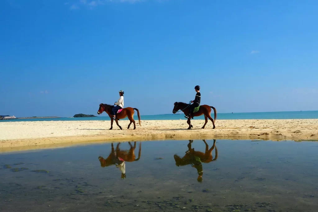 yonaguni island pony
