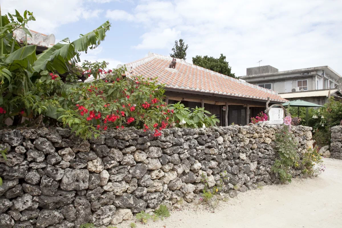 limestone coral wall