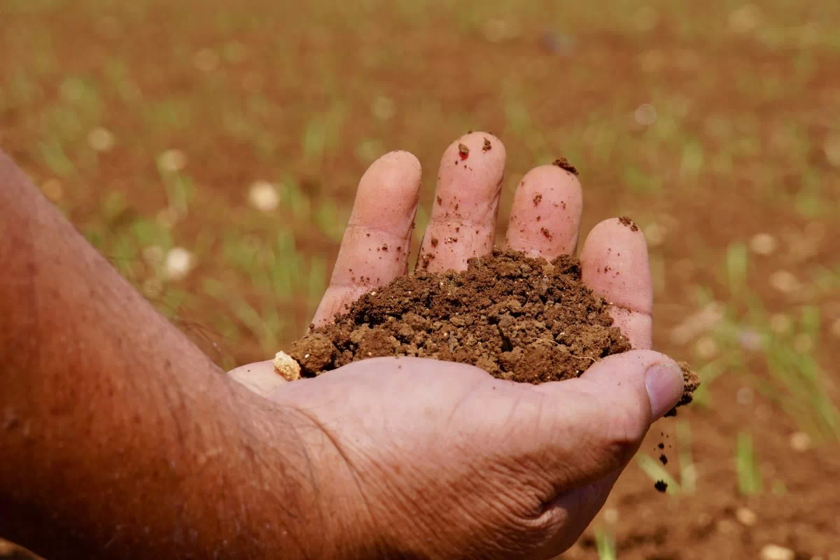 ie island soil farm