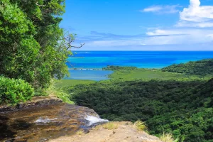 iriomote island scenery