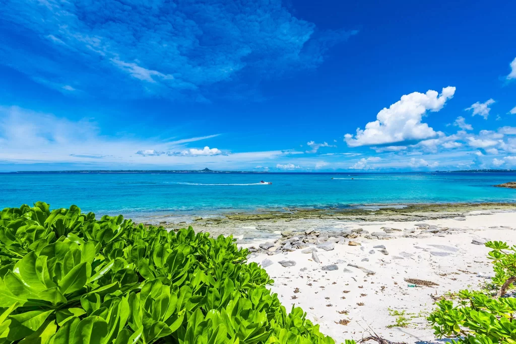 minna island beach scenery