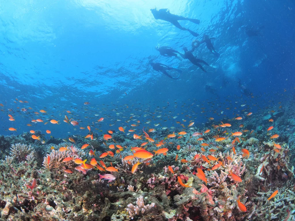 enjoying okinawa safely reef