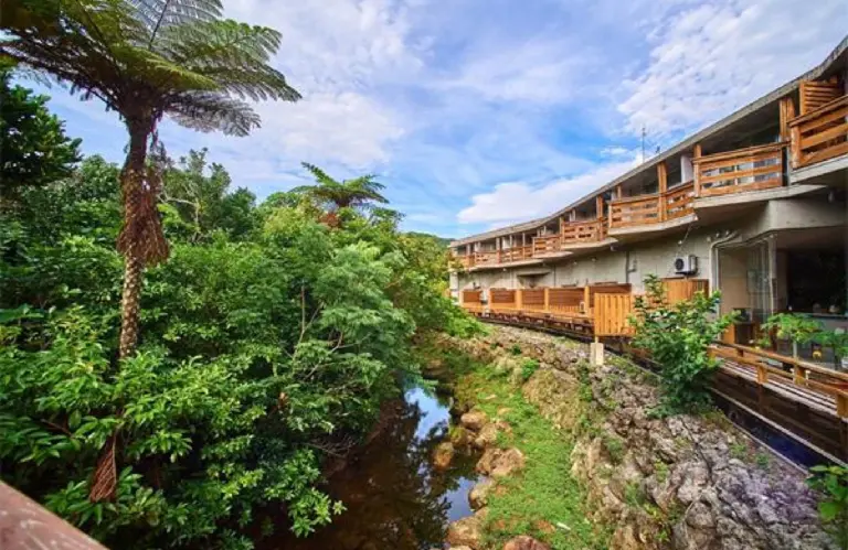 Iriomote Island Jungle Hotel Painumaya